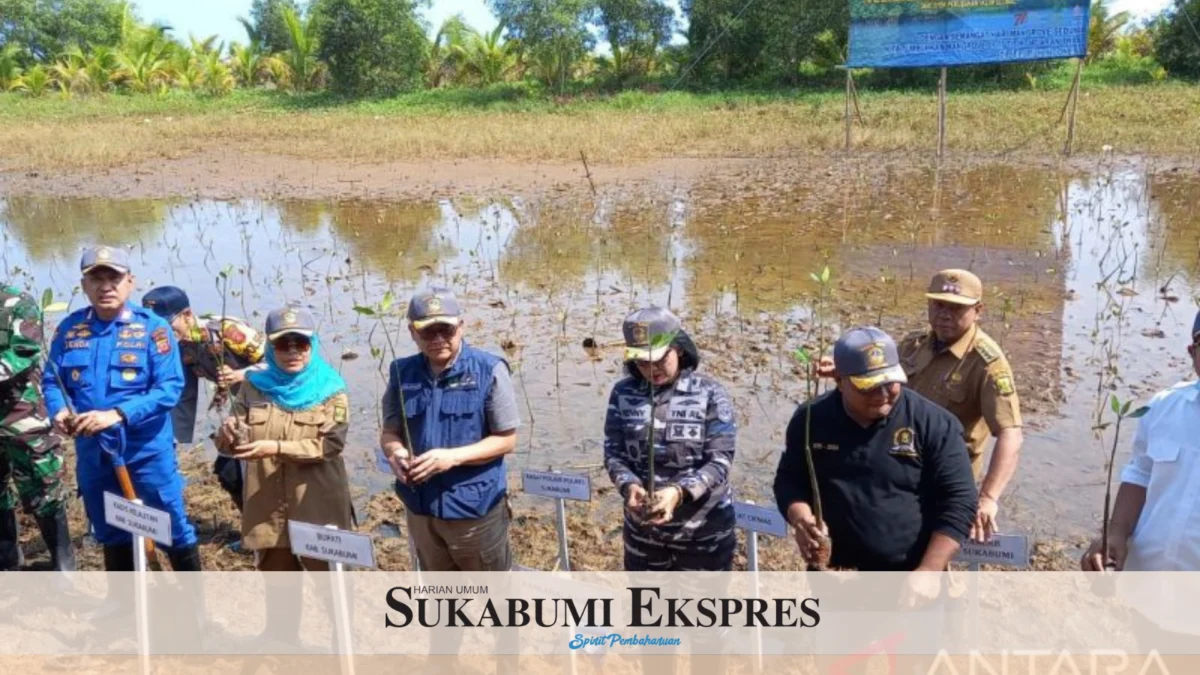 Jaga Ekosistem Laut di Geopark, TNI AL Tanam Mangrove