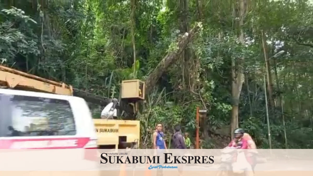 Disperkim Dibantu Polisi Pangkas Pohon Tumbang Berpotensi Tumbang