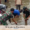 TNI AL Tanam Ribuan Pohon Mangrove di Sukabumi