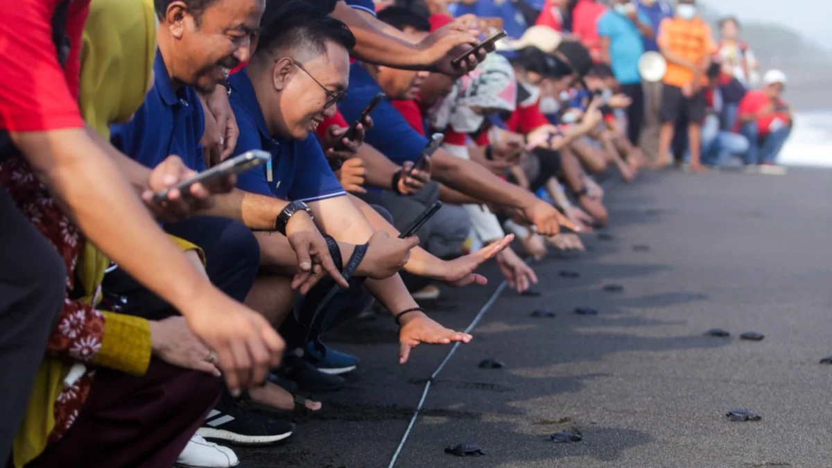 Elnusa Petrofin Gelar Pelepasan Ratusan Tukik dan Donasikan Giant Trash Can di Yogyakarta