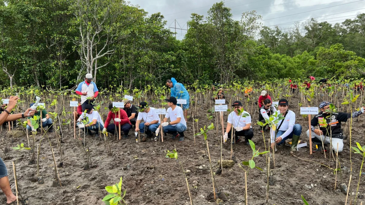 Peringati HUT ke-66, Danamon Ajak Karyawan Lakukan Penanaman 10.000 Pohon Mangrove