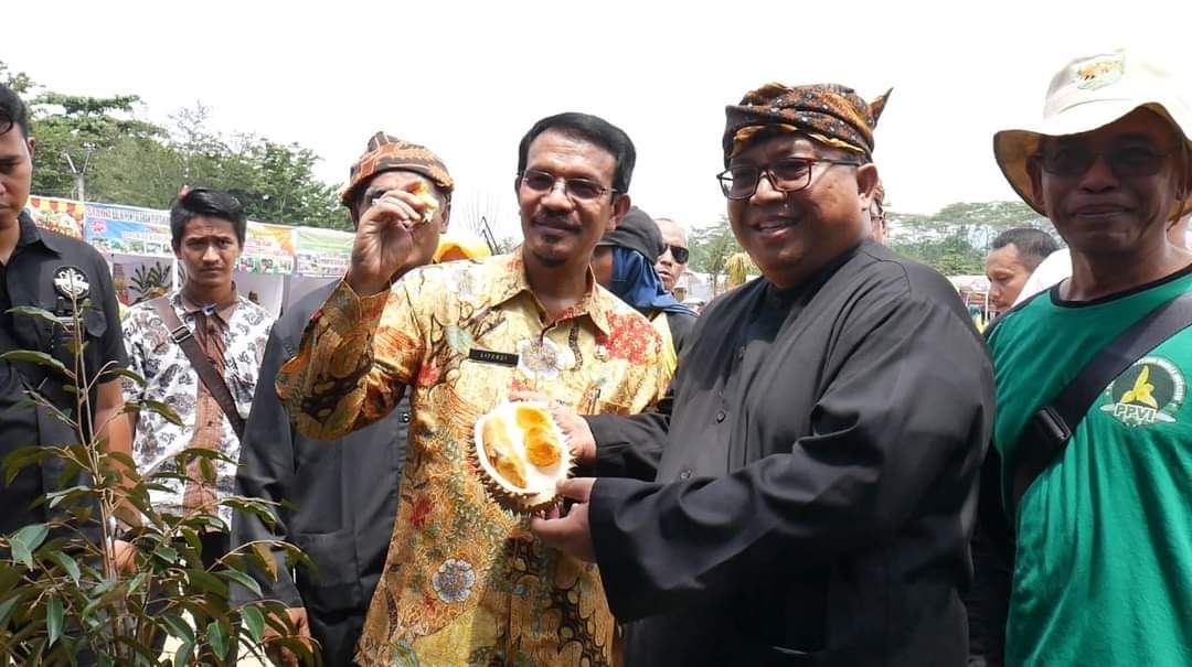 Kecamatan Cikakak Sentra Durian Unggul Sukabumi