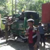 Truk Kontainer Tertimpa Pohon di Ruas Jalan Palabuhanratu 