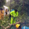 Satsamapta Polres Sukabumi Bersihkan Pohon Tumbang di Tanjakan Cisarakan