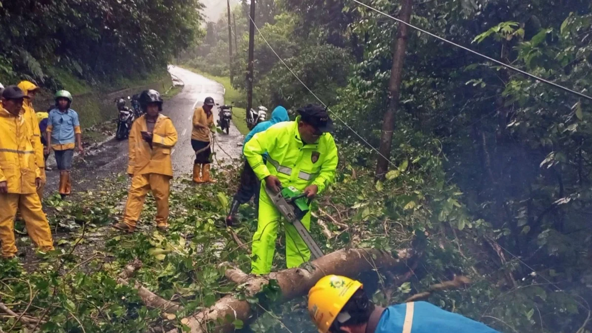Satsamapta Polres Sukabumi Bersihkan Pohon Tumbang di Tanjakan Cisarakan