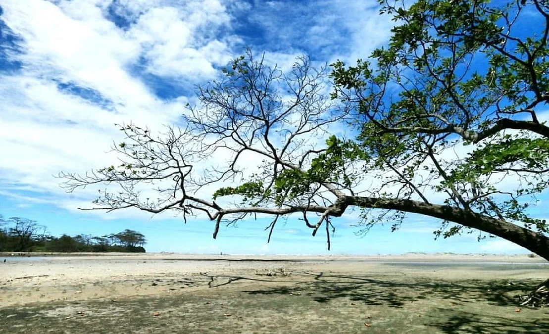 Pantai Cijeruk Hiddem Gem Tersembunyi di Kabupaten Garut