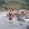 Tim SAR Temukan Jaket dan Celana Korban Lakalantas yang Terbawa Arus Sungai