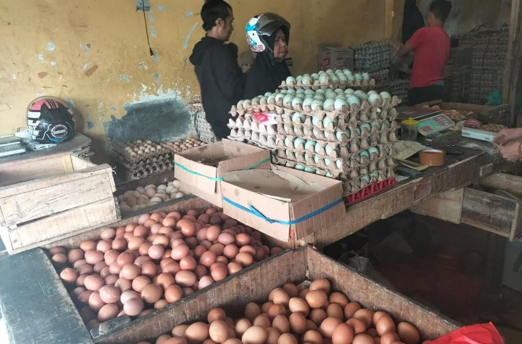 Harga Telur Ayam dan Cabai Naik