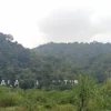 Terhalang Pepohonan, Warga Keluhkan Keberadaan Landmark Palabuhanratu