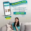 Promo Harbelnas, PLN Beri Voucher Tambah Daya untuk Pelanggan