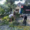 Satuan Samapta Polres Sukabumi Evakuasi Pohon Tumbang