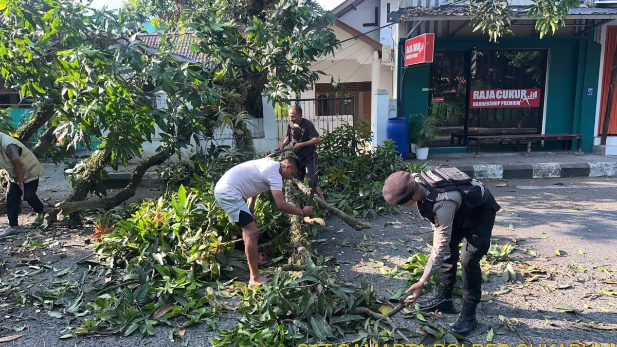 Satuan Samapta Polres Sukabumi Evakuasi Pohon Tumbang