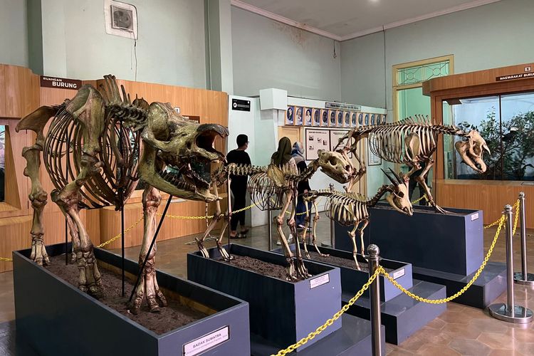 Deretan Wisata Edukasi Terpopuler di Bogor, Ada Museum Zoologi