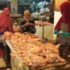 Kurun Sepekan Harga Daging Ayam Dua Kali Naik