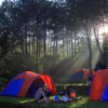Keseruan Healing Murah ke The Ciliwung Adventure Camp