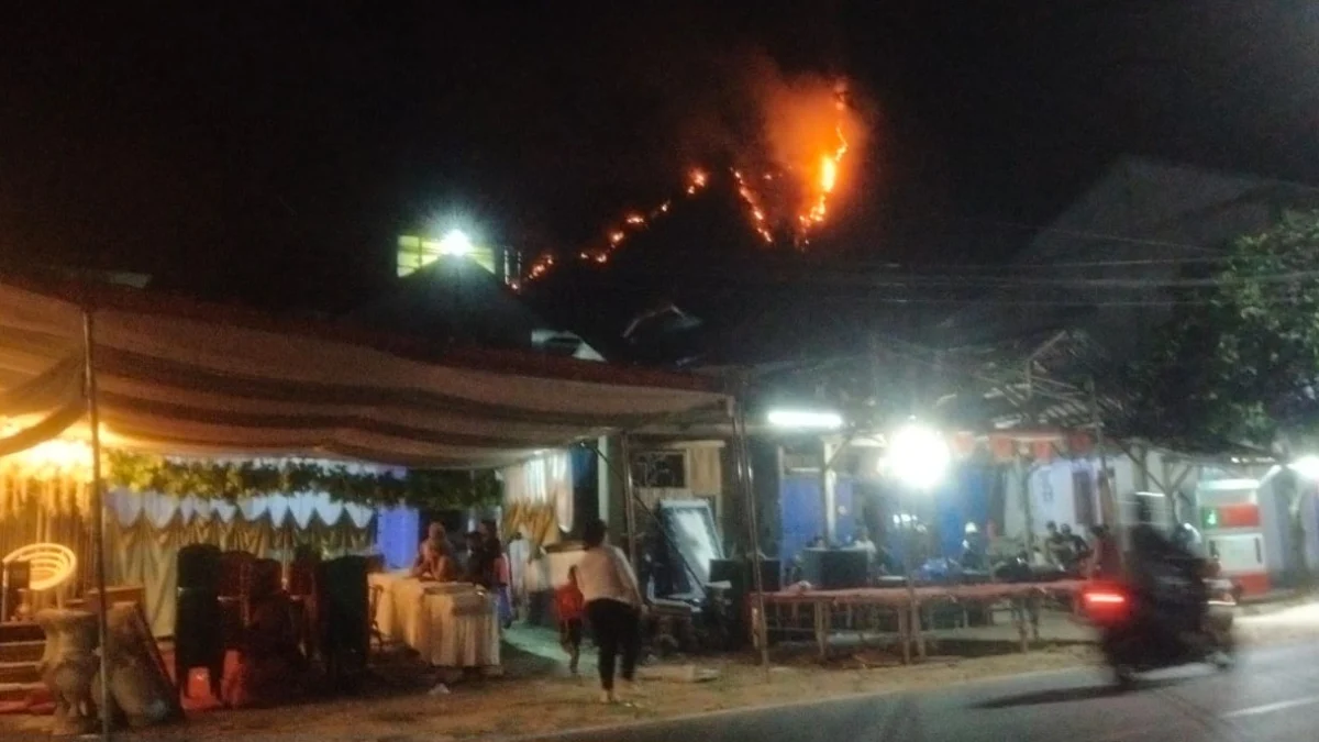 Gunung Jayanti Terbakar, Hanguskan Hampir 8 Ha Lahan