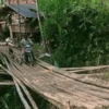 Setiap Hari Lintasi Jembatan Bambu yang Rapuh
