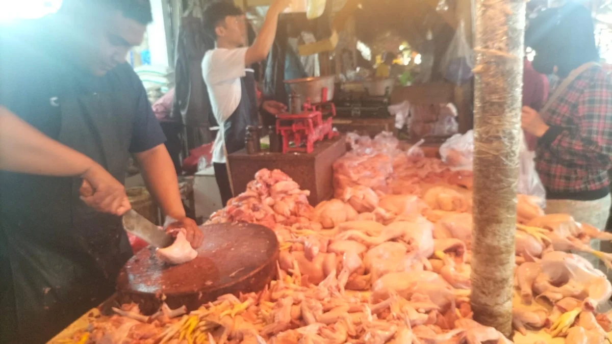 Harga Daging Ayam Naik, Dipicu Berkurangnya Pasokan