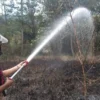 Kebakaran Lahan di Kabupaten Sukabumi Capai 222 Kasus