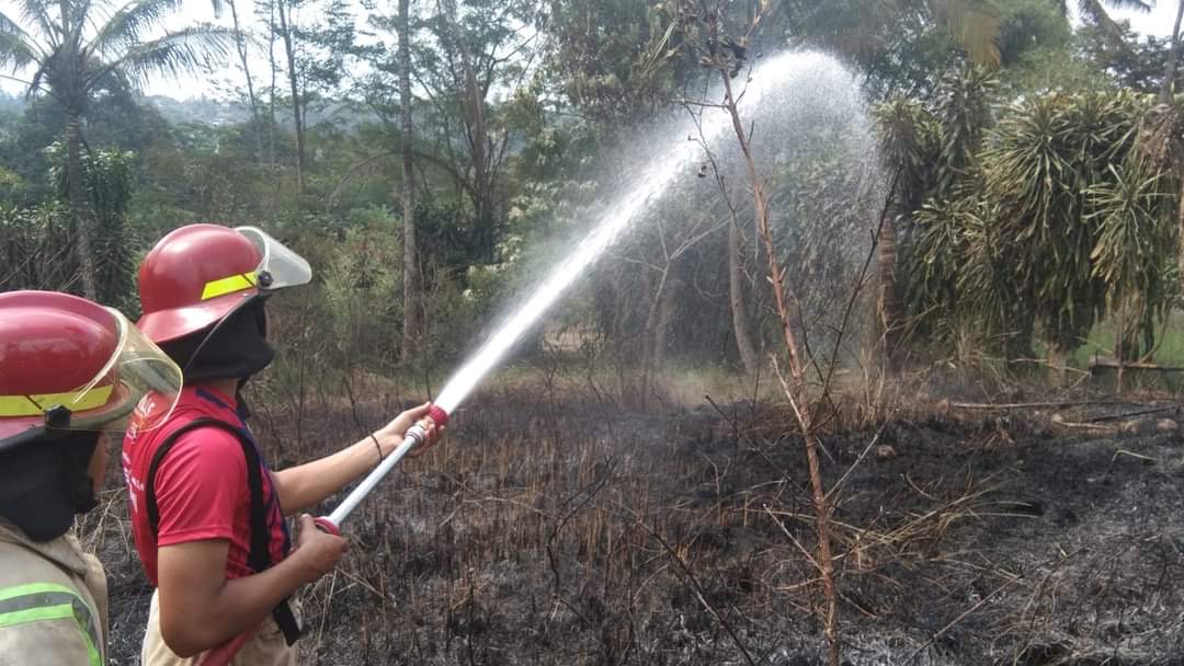 Kebakaran Lahan di Kabupaten Sukabumi Capai 222 Kasus