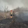 DLH Deteksi Penyebab Kebakaran TPA Cikundul