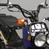 Desain Ringkas Dan Simpel Honda Ruckus Mini Trail 2024