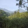 Gunung Gede Pangrango National Park