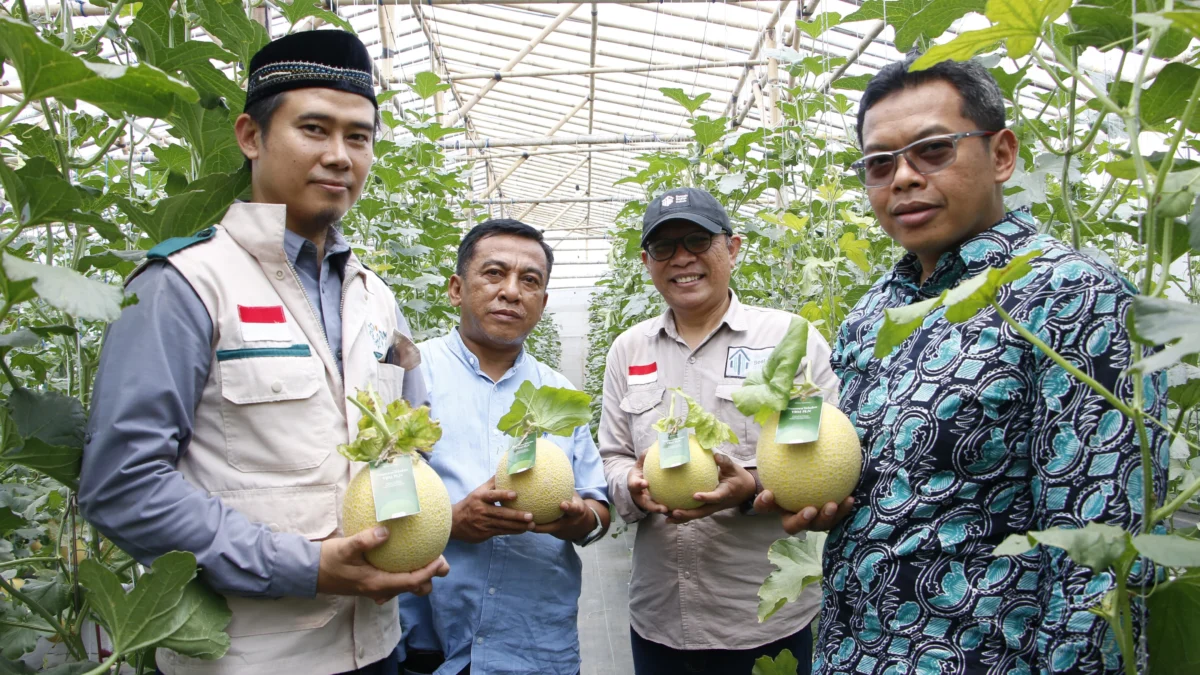 Perayaan HLN ke-78 bersama YBM, PLN UP3 Sukabumi dorong kegiatan Green Agriculture Pondok Pesantren