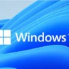 Mau Update Windows 11? Ini 2 Cara Mudahnya