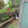 Tim Satgas BPBD Kota Sukabumi mengevakuasi batang pohon di aliran Sungai Pangbarakan di Kelurahan Sindangsari