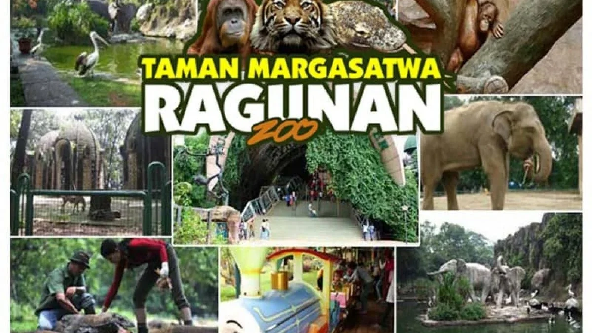 Taman Margasatwa Ragunan