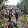 satu rumah tertimpa pohon di Kampung Cibolang