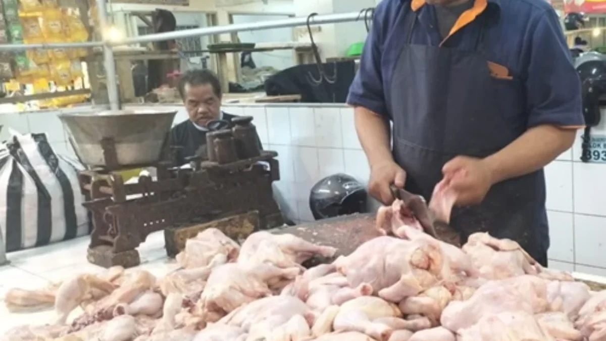 Seorang pedagang daging ayam di Pasar Pelita Kota Sukabumi melayani pembeli.