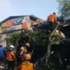 Pohon tumbang di Kampung Ciutara, Desa Pondokkaso Landeuh
