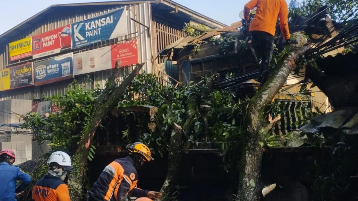 Pohon tumbang di Kampung Ciutara, Desa Pondokkaso Landeuh