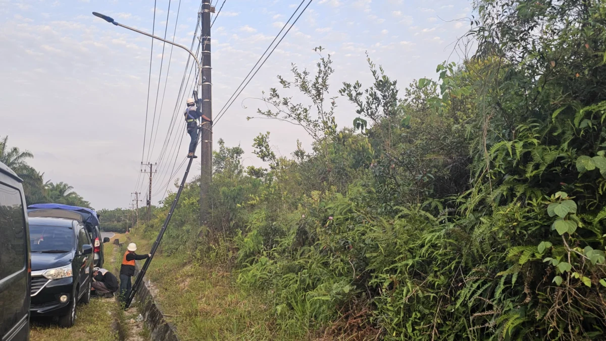 PLN Icon Plus Regional Jabar Lakukan Patroli dan Perapihan di Jalan Pelabuhan Cigadung Subang